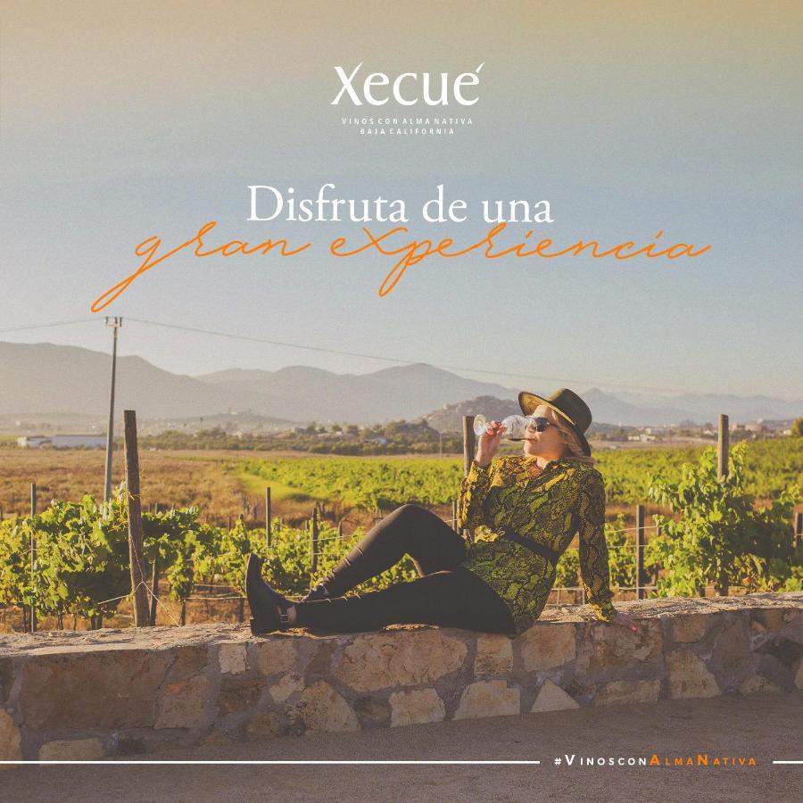 فندق Vinos Xecue إنسينادا المظهر الخارجي الصورة